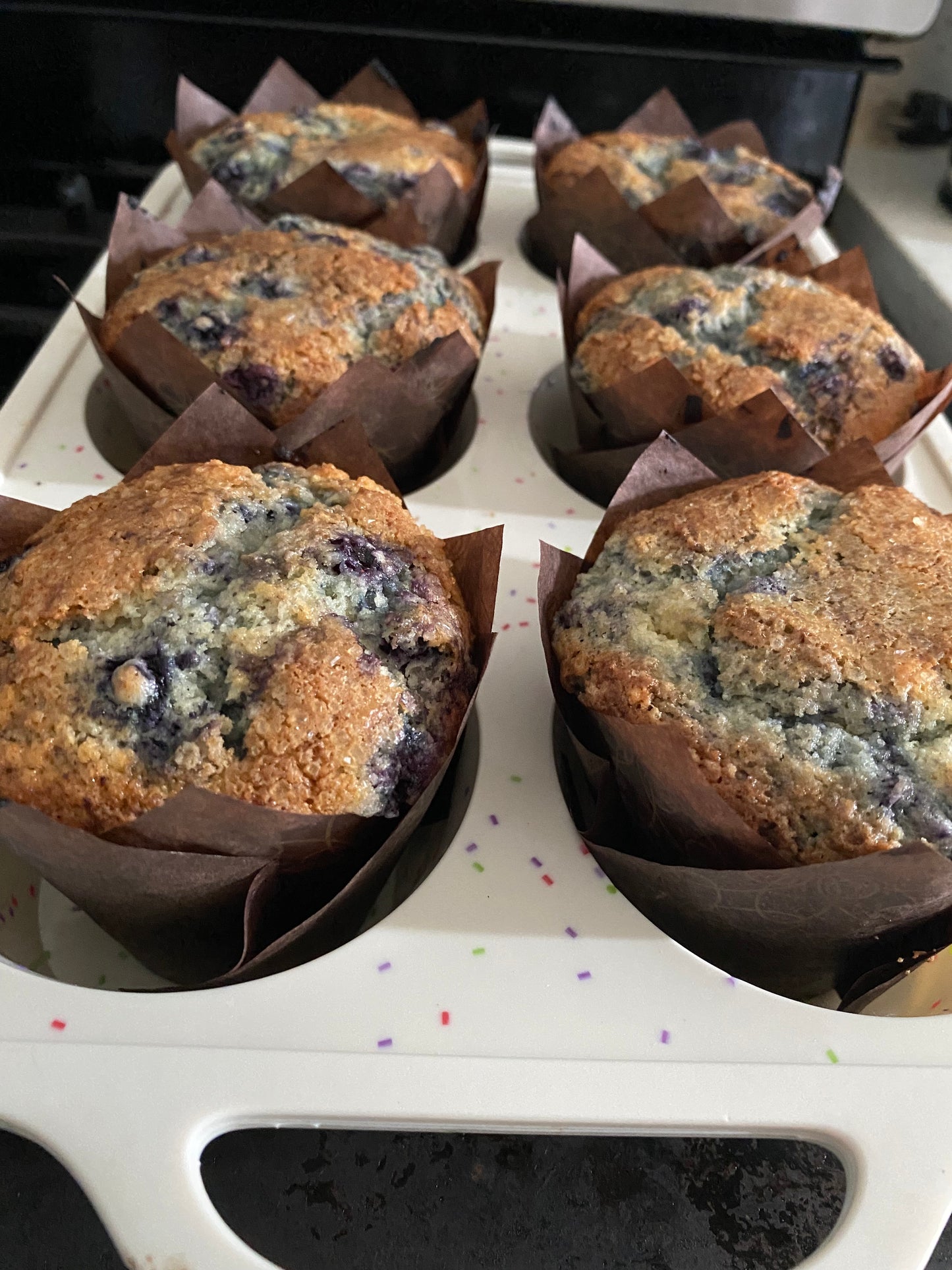 Muffins 6-Pack